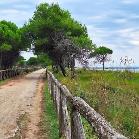 Apartamento Cozy 300mt From The